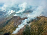 Devora incendio 2 mil hectáreas de bosques
