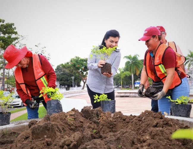 Pone en marcha Yolanda Osuna reforestación de espacios públicos