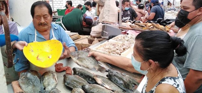 Pescados y mariscos suben entre el 15 y 20 por ciento