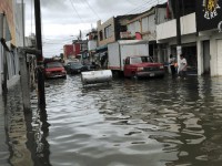 Dejan fuertes lluvias, caída de árboles y encharcamientos