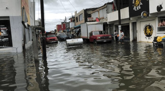 Dejan fuertes lluvias, caída de árboles y encharcamientos