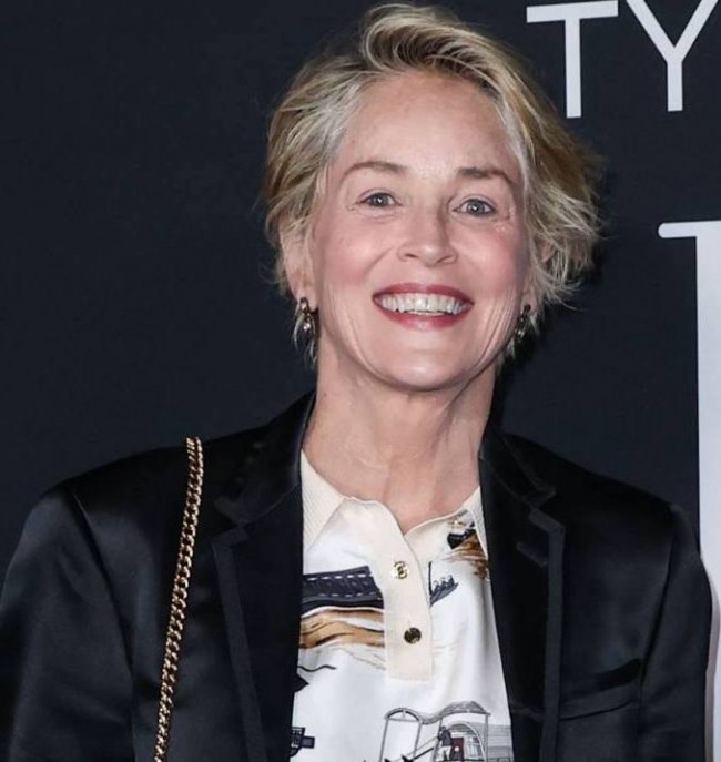 Sharon Stone perdió custodia de su hijo