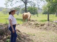 Reconocen ganaderos a Yolanda Osuna por programa de jagüeyes ante sequía