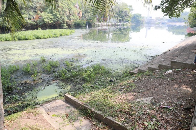 Continúan trabajos de limpieza en la Laguna de las Ilusiones