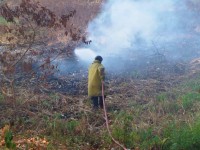 Sofocan incendios forestales en “San Joseito” y “El Tortuguero”