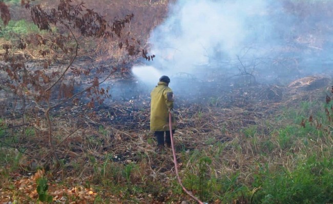 Sofocan incendios forestales en “San Joseito” y “El Tortuguero”