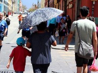 Muertos, insolación e incendios forestales, por tercera ola de calor