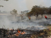 Se registran más de 700 incendios en la entidad