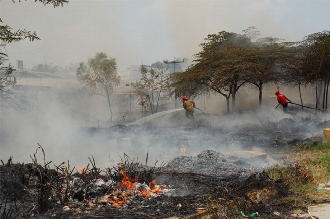 Se registran más de 700 incendios en la entidad