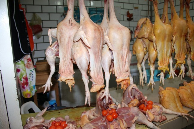 Se desploma la venta de pollos  y gallinas en el Pino Suárez