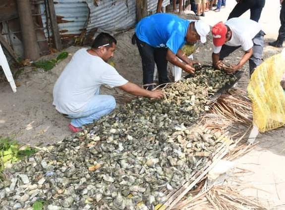 Prohíben comer ostión  crudo o al tapesco: Salud