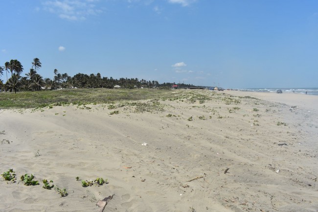 Detecta Salud nuevamente presencia de Marea Roja  en las playas de Centla