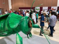 Inauguran la  exposición “Insectus Tabasco. Ciencia, Arte, Cultura”