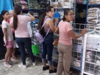 Abarrotan padres de familia las tiendas que comercializan uniformes escolares