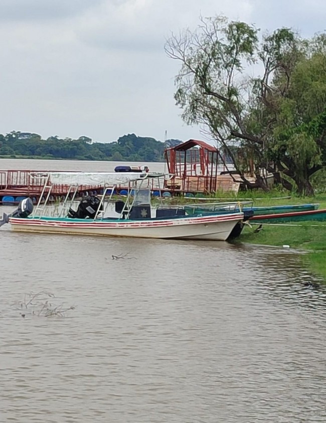 El Usumacinta sin peligro