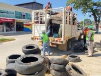 Descacharrizan en zonas de Teapa por temporada de lluvias y dengue