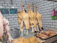 Confían expendedores de pollos que aumenten las ventas