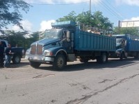 Operativo de vigilancia en apoyo a los productores locales de ganado bovino