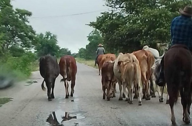 Amenaza latente del río Usumacinta