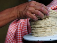 Descartan aumento en el precio de la tortilla
