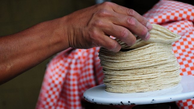 Descartan aumento en el precio de la tortilla