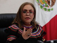 Comisión del Senado aprueba elegibilidad de Eréndira Cruzvillegas como candidata a ministra