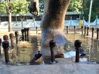 Pondrán denuncia penal por daños al monumento al Deportista