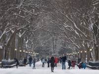 Nevadas en EU dejan más de 45 muertos y a miles sin luz