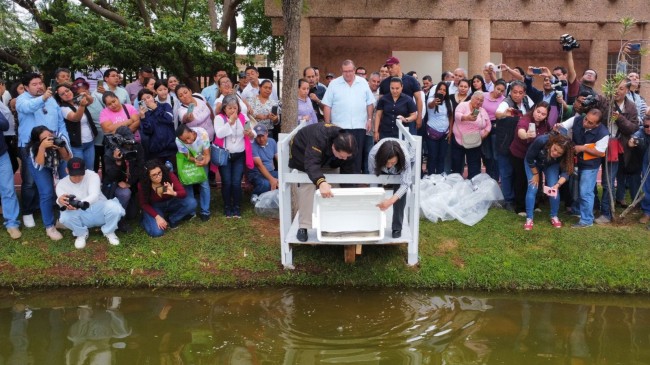 Enriquecen Centro y UJAT biodiversidad de Laguna La Pólvora con siembra de alevines