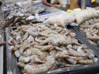 Por Cuaresma mejoran ventas de expendedores de pescados y mariscos