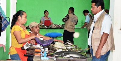 Estricta vigilancia sanitaria en los pescados y mariscos