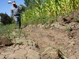 Campo tabasqueño está en total crisis