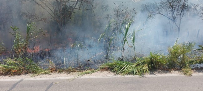 Humo y altas temperaturas  ponen en jaque a la zona Ríos