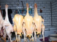 Por debajo del 30% la venta de pollo