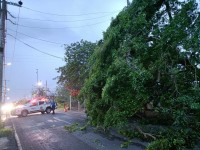 Causa la ‘ventolera’ estragos en Villahermosa