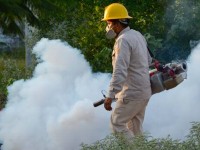 Nebulizan para combatir el dengue