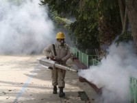 10 defunciones confirmadas por dengue; hay nueve casos más en estudio