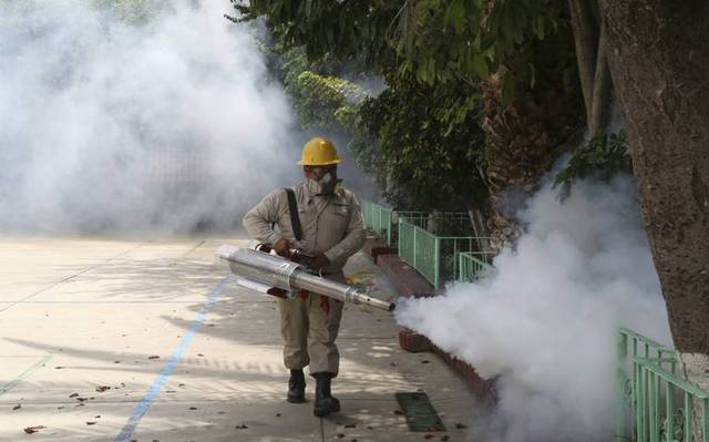 10 defunciones confirmadas por dengue; hay nueve casos más en estudio