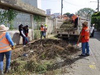 Liberan de basura y maleza calles del Fracc. Buena Vista