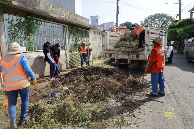 Liberan de basura y maleza calles del Fracc. Buena Vista