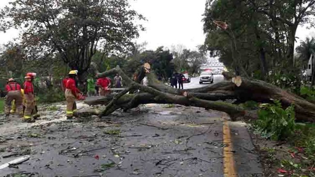 Seguirán las fuertes  lluvias en la entidad