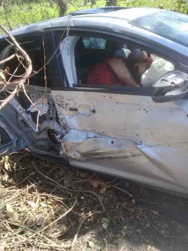 Balacera deja dos muertos