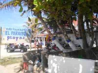 Supervisan 164 negocios de venta de mariscos