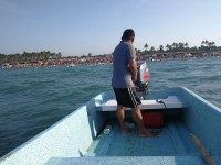 Saldo blanco en  playas de Paraíso