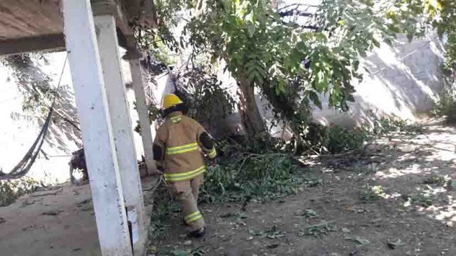 Atiende IPC accidente aéreo en Cunduacán