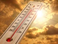 Tomar precauciones por canícula: IMSS
