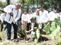 Es una “reconciliación con el medio ambiente”