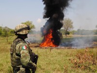 Incineran 240 kilos de cocaína