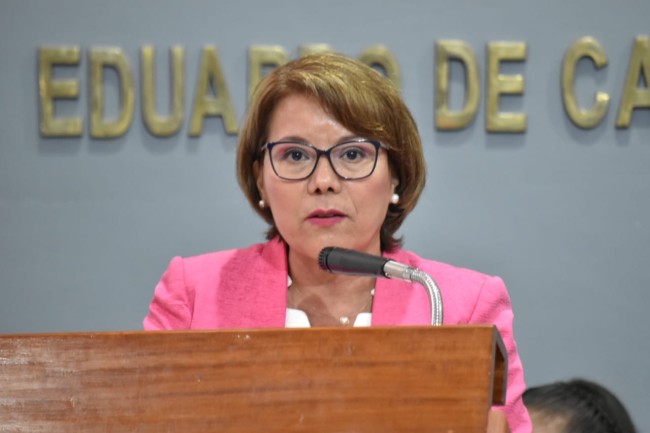 Se trabaja para consolidar  una movilidad sostenible
