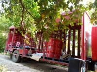 Frustra la FGE robo de camión de carga y detiene a presuntos asaltantes